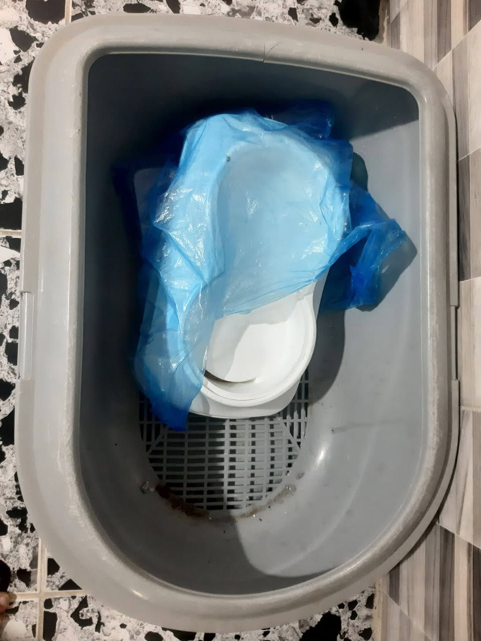 للبيع لعدم التفرغ
بزونه مال بيت اليفه كلش ومرحه عمرها صغير اكلها من اكل. البيت 
***********
