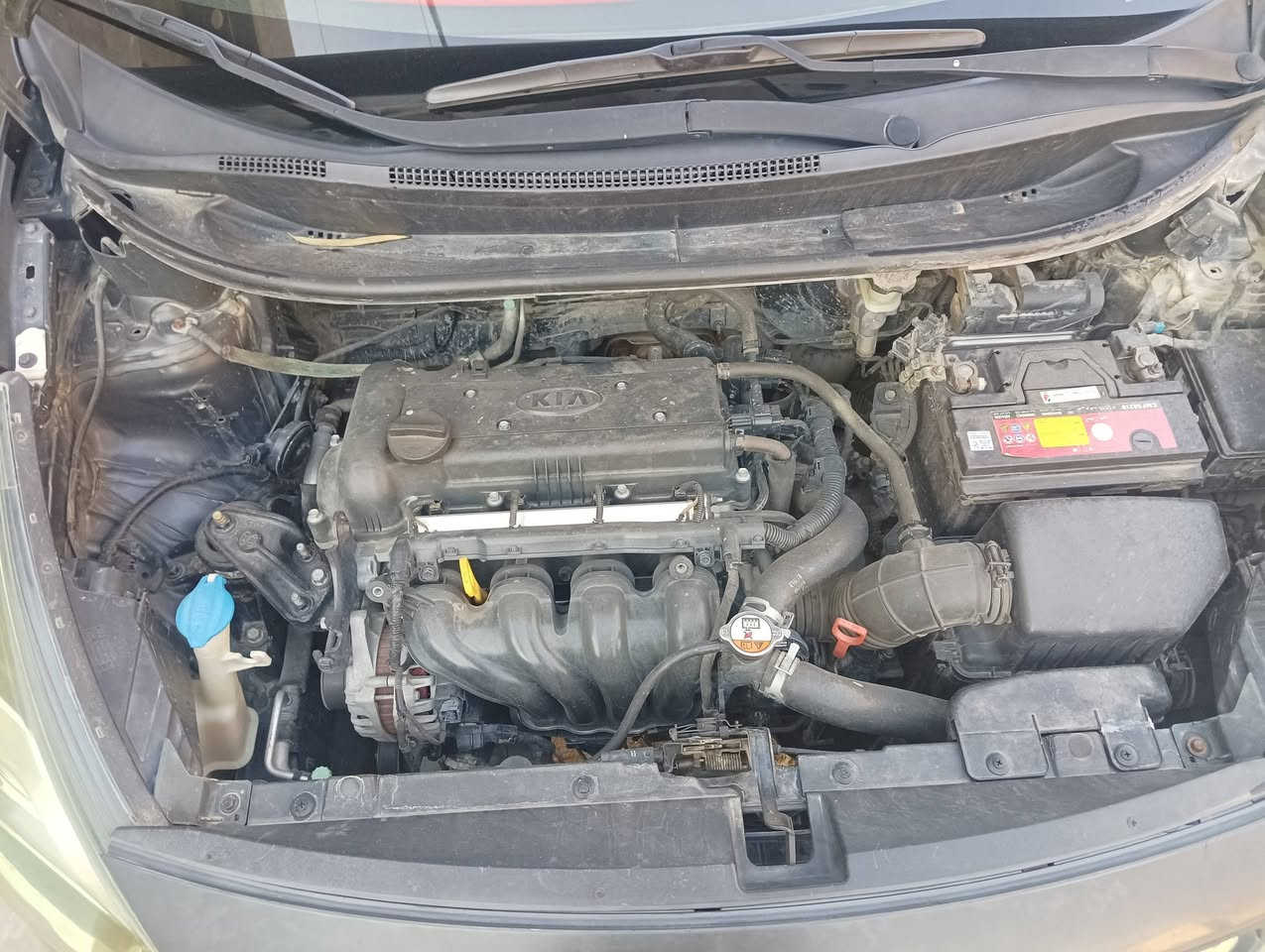 للبيع – كيا ريو 2015 وارد خليجي 

 بدون حادث 
▪️ الملاحظات: فقط تكحيلات  
اللون رمادي 
- محرك 1600 (دوش – قطرتين)
- تحكم ستيرن
- مرايات شفط
- إشارات مرايات
- سونار موجود
- تخم تاير جديد حاليا 
- صدر جيد جدا
تبريد شغال جيد جدا 

▪️ الرقم: قادسية  وباسمي
▪️ السنوية: غير منتهية الصلاحية
▪️ الوارد: خليجي

 ا

📞 للاتصال والاستفسار: خاص أو اتصال مباشر
***********
