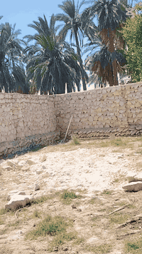 بنيان حجر ورصف بسعار تنافسيه لتصل 07800105370