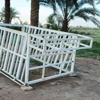محجل للبيع 07858988439