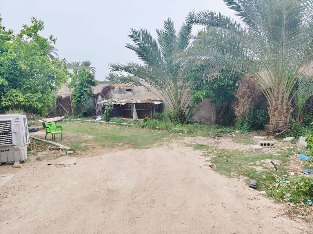 900 مع بيت مساحه 200 متر 
#طابو زراعي سند 25 
#السعر 120 وبي مجال 
#كربلاء #طويريج #ناحية #الرجيبه 
للعرض والاستفسار 
***********
