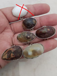 حلة بابل • آخر قطع • صيد