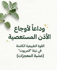 المريوت • تبخير أذن • علاج طبيعي