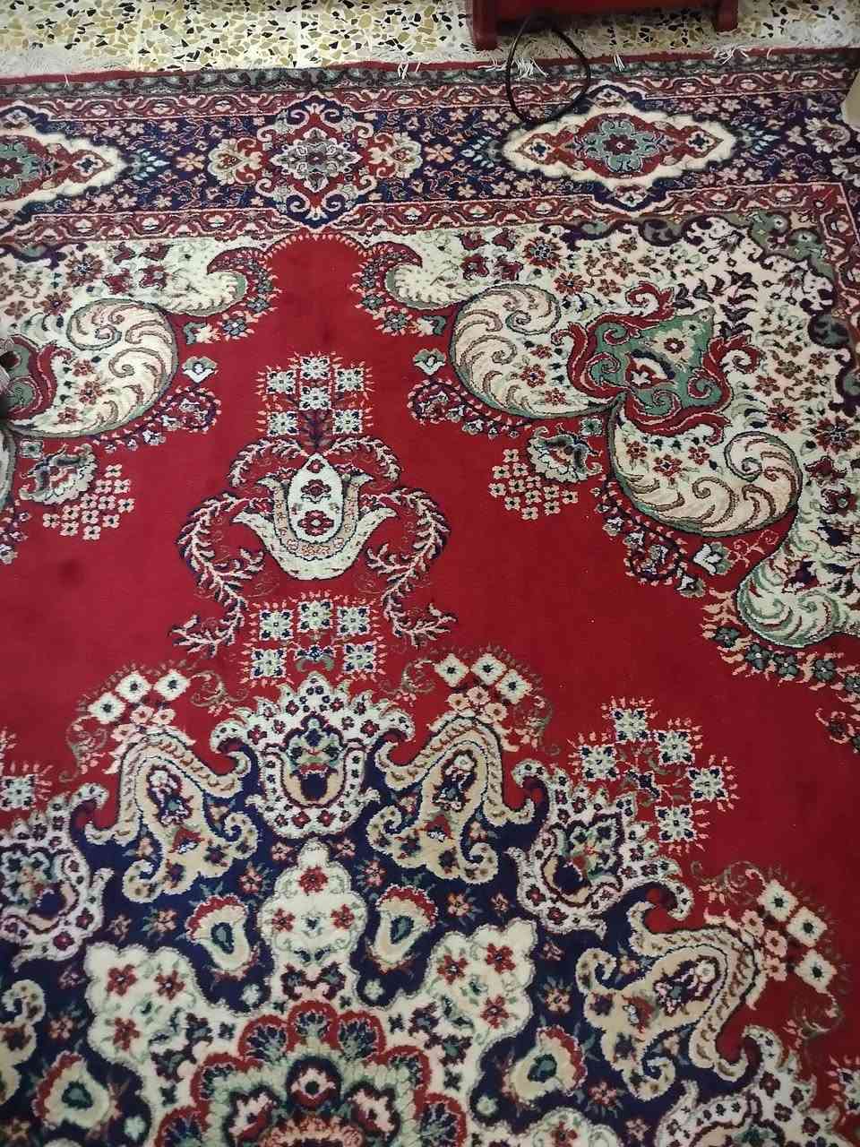 للبيع حي البكر


**إذا كنت صاحب هذا الإعلان وتريد حذفه لأي سبب، رجاءا أرسل رسالة إلى الدعم الفني**