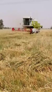 حاصدة اكلاص • موديل 85 • ديالى