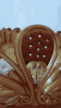 السعر 350 حي السفير *********** ابو سجاد
