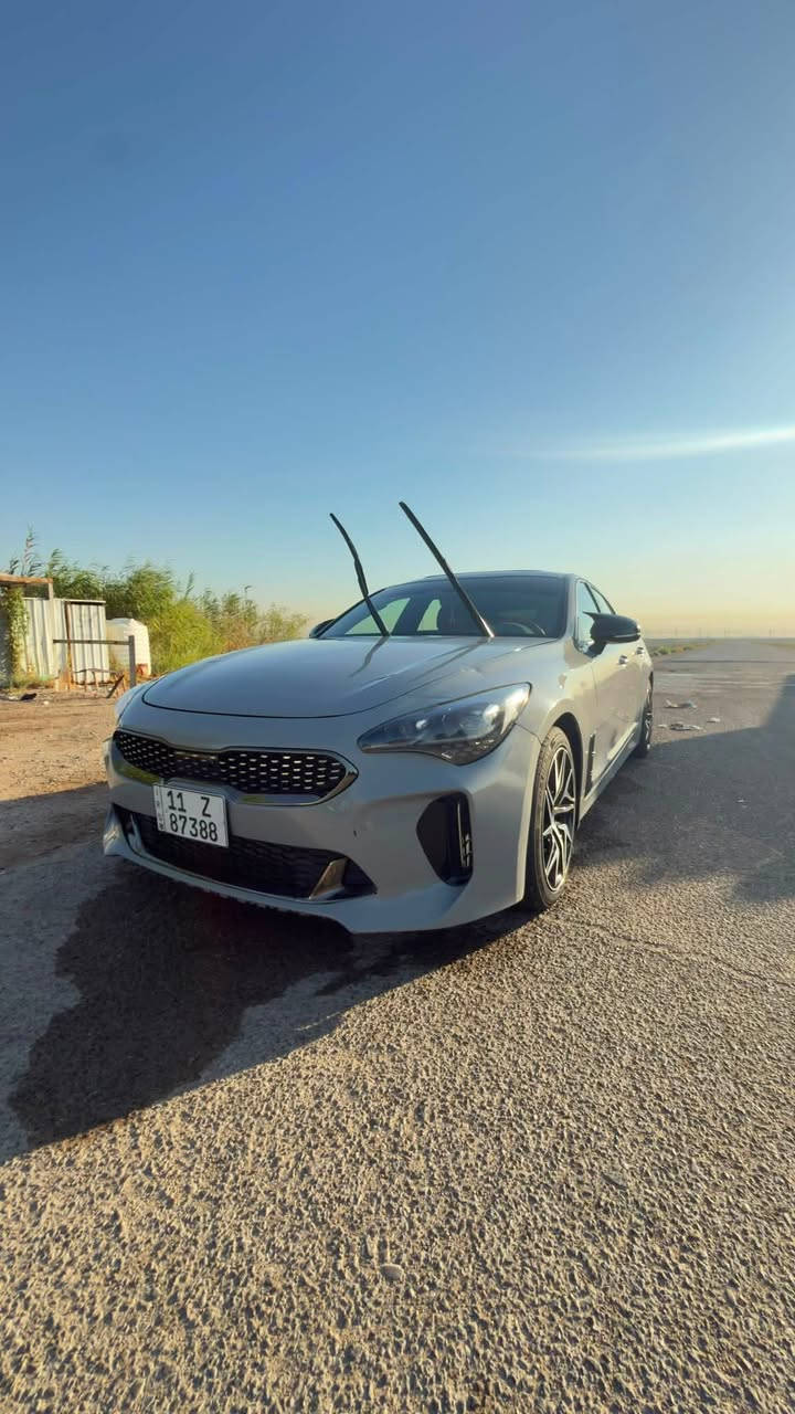 السلام عليكم للبيع او المراوس 🔥
الوحش الكوري متوفر 🔥

Kia Stinger GT Line

📅 موديل 2022

⚡ محرك 2.5 Turbo – أداء رياضي وقوة استثنائية.

إذا تدور على ستنكر نظيفة ومميزة واسمنتية ، فهاي من السيارات النادرة بالسوق.

✅ فول مواصفات

❤️ داخلية جلد أحمر فخمة

✅ مكينة وكير مكفولات

✅ صدر جديد

✅ تخم تايرات جديد

✅ حادث سابق بـ 3 قطع فقط

✅ لا شاصي ولا إيرباك

✅ البنيد والجاملغين بإتقان، والسيارة نظيفة جداً، وصور الحادث موجودة بكل شفافية للجادين وحتى حادثها بسيط اصلاً .

📍 موقع السيارة: بغداد

سيارة تجمع بين القوة، الفخامة، والشكل الرياضي، وجاهزة للاستخدام بدون أي مصاريف

سعرها جوه السوق ترا !!! 150 بـَٰس ، وبيها مجال ترا سيارة رياضية وجنايتها يعرفون القصد 

📞 للاستفسار أو المعاينة، *********** ‬
