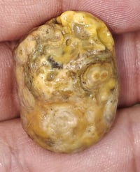 ١٢ حجره • سليماني • داودي