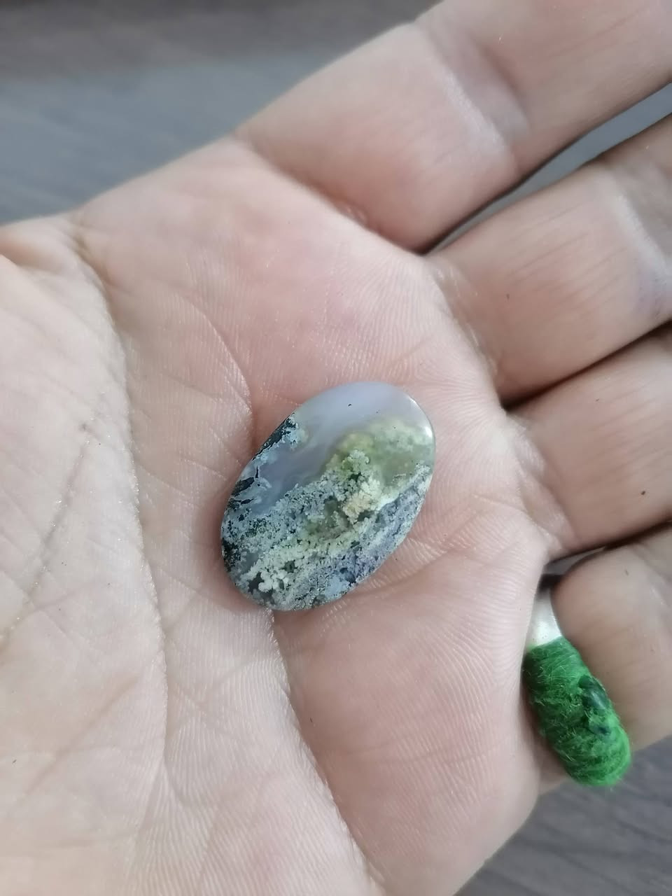 الحجر الطحلبي تحت المكبرة


**إذا كنت صاحب هذا الإعلان وتريد حذفه لأي سبب، رجاءا أرسل رسالة إلى الدعم الفني**