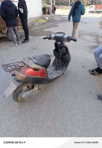 بطة • بلادية • للبيع