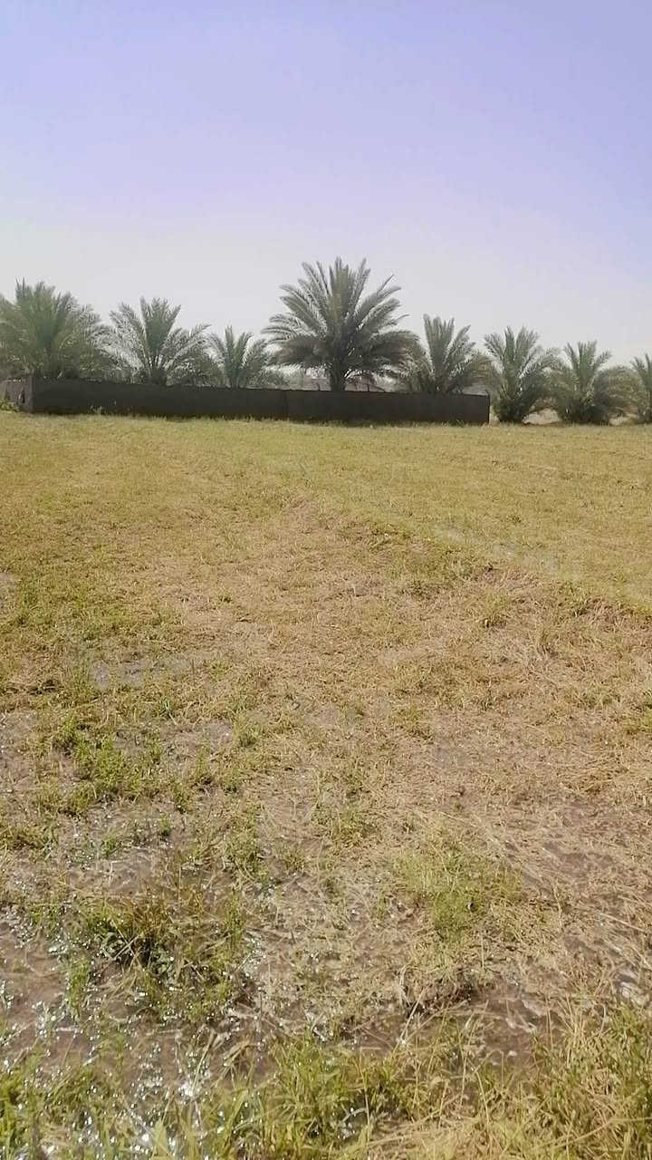 ٠سلام عليكم ورحمة الله دونم ونص  لبيع بابل جبله فراع مصلخ ثاني قطعه مقابيل حي جواد  عن مشروع٨٠٠ متر يعني ٥دقايق بسوك ماء نهر ١٥ متر عن خزان سكي ١٠ متره عن رساله  ٣٠ متر عنه كهرباء ٤٠ متر عنه مولد حي ١٠٠ عن كافات الخدمات لاستفسار *********** و*********** و ***********
