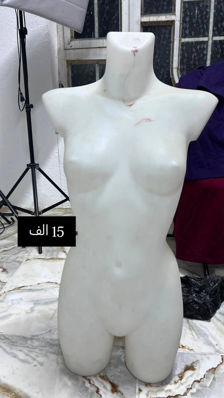 مليكانات للبيع مكانهن كوت الانوار كل وحدة وسعرها ابيعهن كلهن شلع او مفرد عادي اتصال ***********
