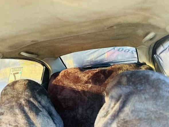 سلام عليكم افيو وراد كوري محرك كير شرط سنويا رقم جديد تحويل وكاله شرط بيها خمس قطع  بيدون دواخل شرط سعر 55 مجال
***********

***********
