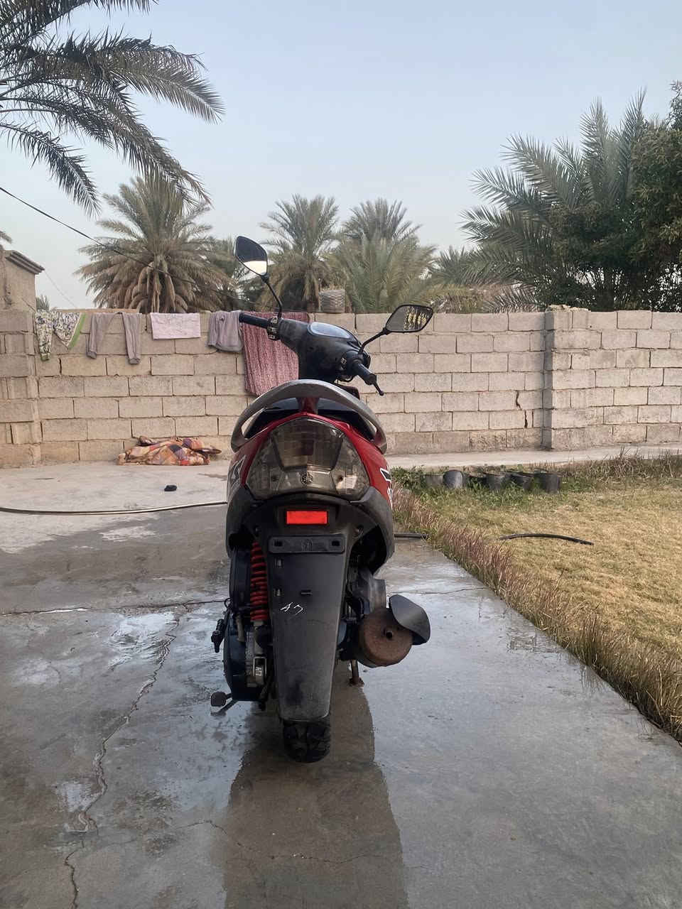 دراجه ماكس عدله للبيع مكفوله كفاله عامه صار 4اشهر منزله من الرمبه فقط الكفرات مبدله رايده 800قفل الرقم ***********بي واتساب أو تراسلني عل هاي الصفحه
