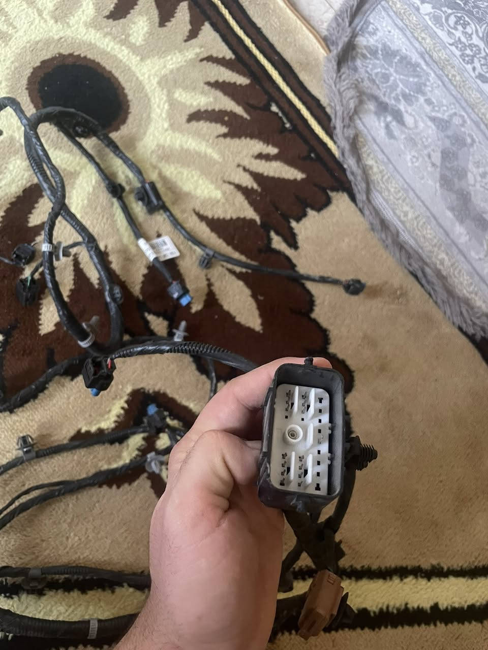 السلام عليكم ضفيره سوناته 2024 2025 2026 نضام 6 حساسات و كامره ومستشعرات ثنين جديده اصليه ما مشدوع ع سياره هذني الفيش الزرك ملات الحساس والبرتقاليه ملات المستشعر والسوده مال كامره والجبيره فيشه رئيسه  يوجد مستشعر جته السايق مستشعر واحد فقط اي ستفسار ***********
