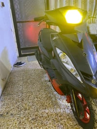 ثعلب جيتي • مكفولة • ناعمة