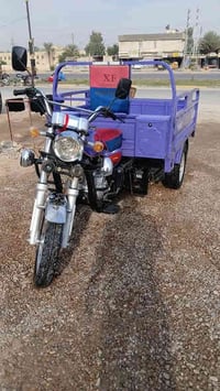 ستوتة • موديل ٢٠٢٣ • أوراق ٢٠٢٥