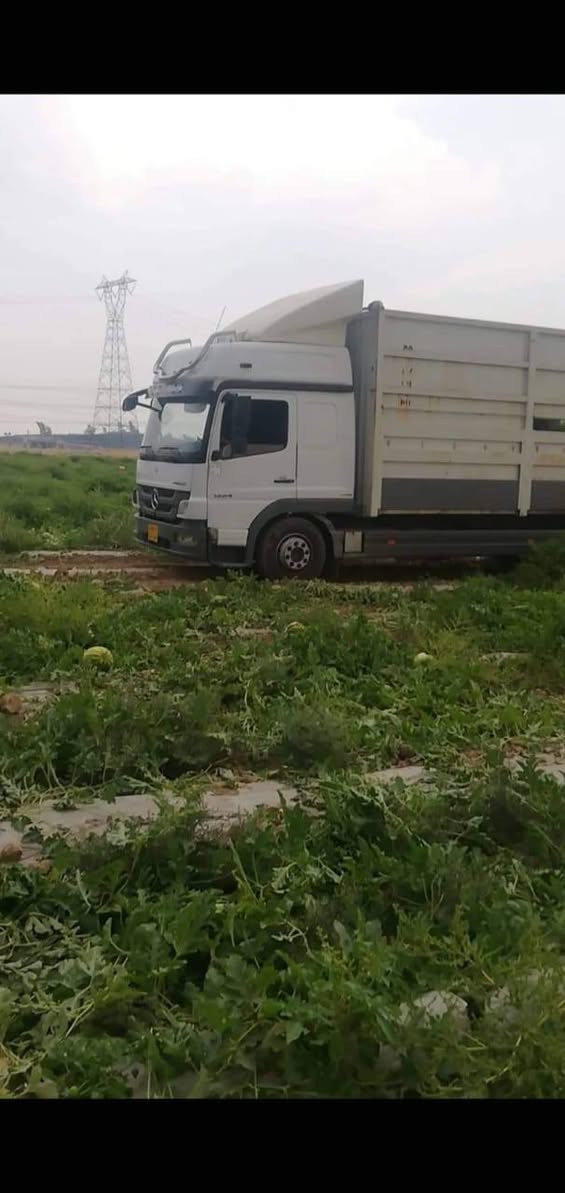 السلام عليكم اخوان بودي اتيكو مال حلال للبيع وياها خشب مالته طول البودي725 مكان موصل نينوى رقم الهاتف ***********/***********
