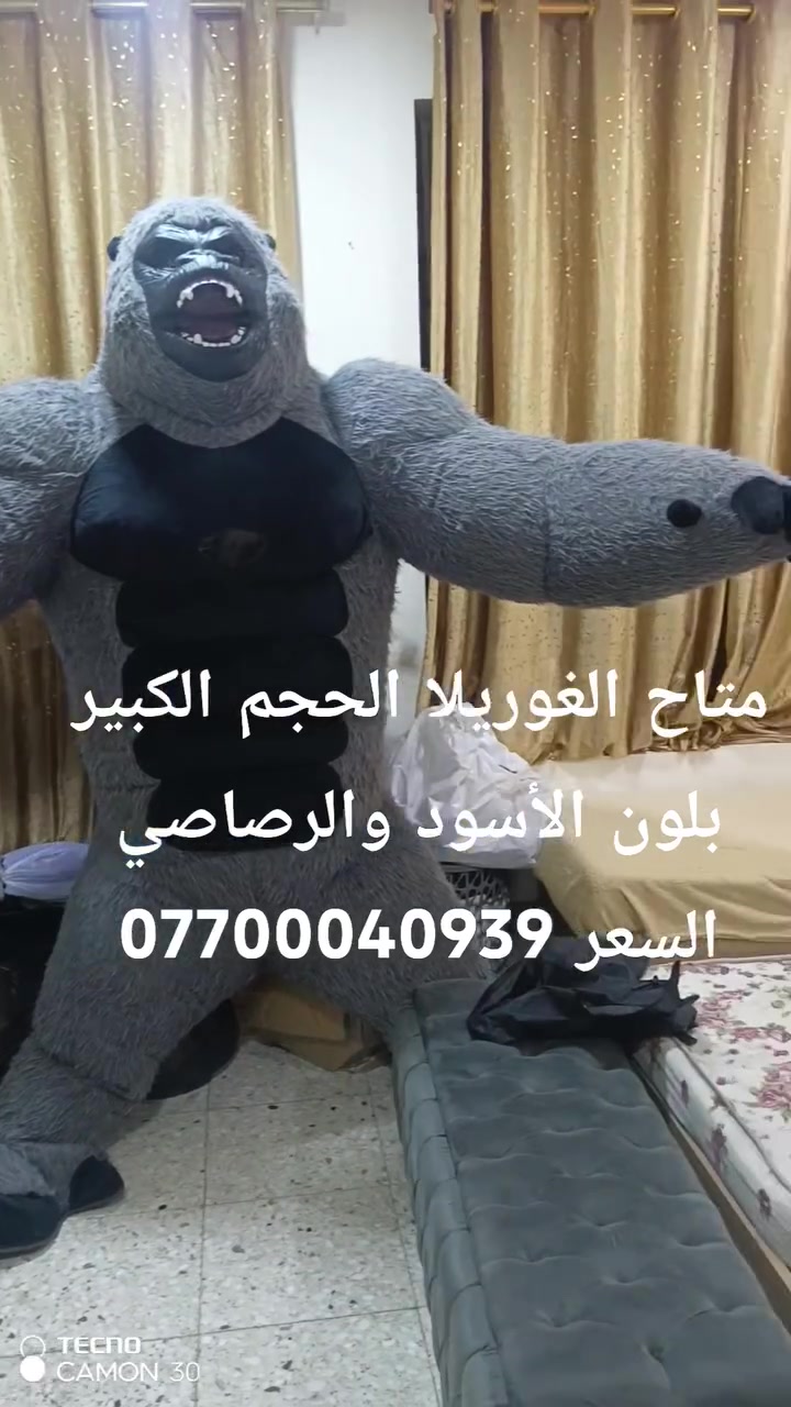 غوريلا الحجم الكبير السعر خاص ويتساب  ***********
