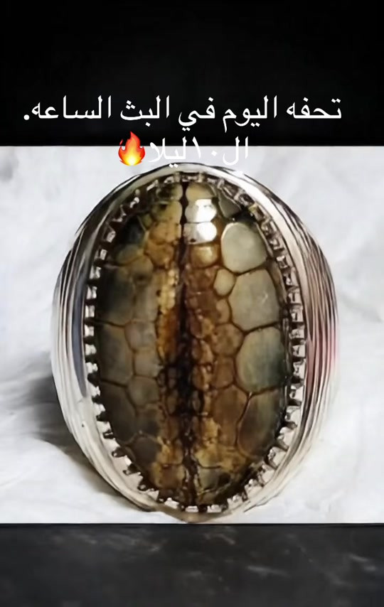 فضة عراقيه حجر سليماني جلد الثعبان النادر


**إذا كنت صاحب هذا الإعلان وتريد حذفه لأي سبب، رجاءا أرسل رسالة إلى الدعم الفني**