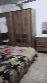 سلام عليكم يوجد بيت للبيع عنوان حي العامل مجمع جيش القدس قرب بيت الياباتي يتوفر كامل الخدمات من مي ومجاري سعر 14وبي مجال للستفسار اكثر تصال ع رقم ***********
***********
