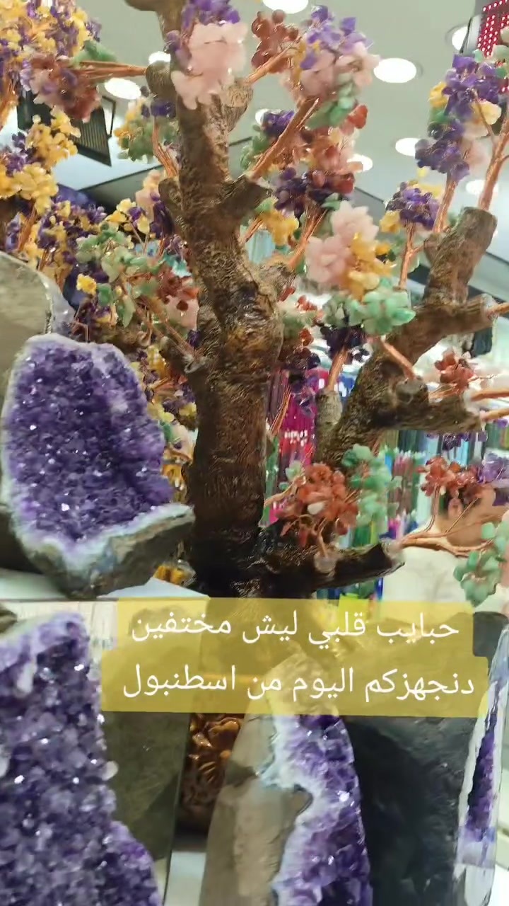 هسه عرفتو ليش اليوم ماكو انتظروا الاحجار القنبلة حتوصل للعراق #بغداد #بصرة #بابل #كربلاء #طاقةإيجابية #كوت #احجاركريمة


**إذا كنت صاحب هذا الإعلان وتريد حذفه لأي سبب، رجاءا أرسل رسالة إلى الدعم الفني**