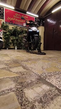 للبيع ( سكنس فحل لد) ( ياباني) للاستفسار/07749903792 حاوية رمبة مكفولة...