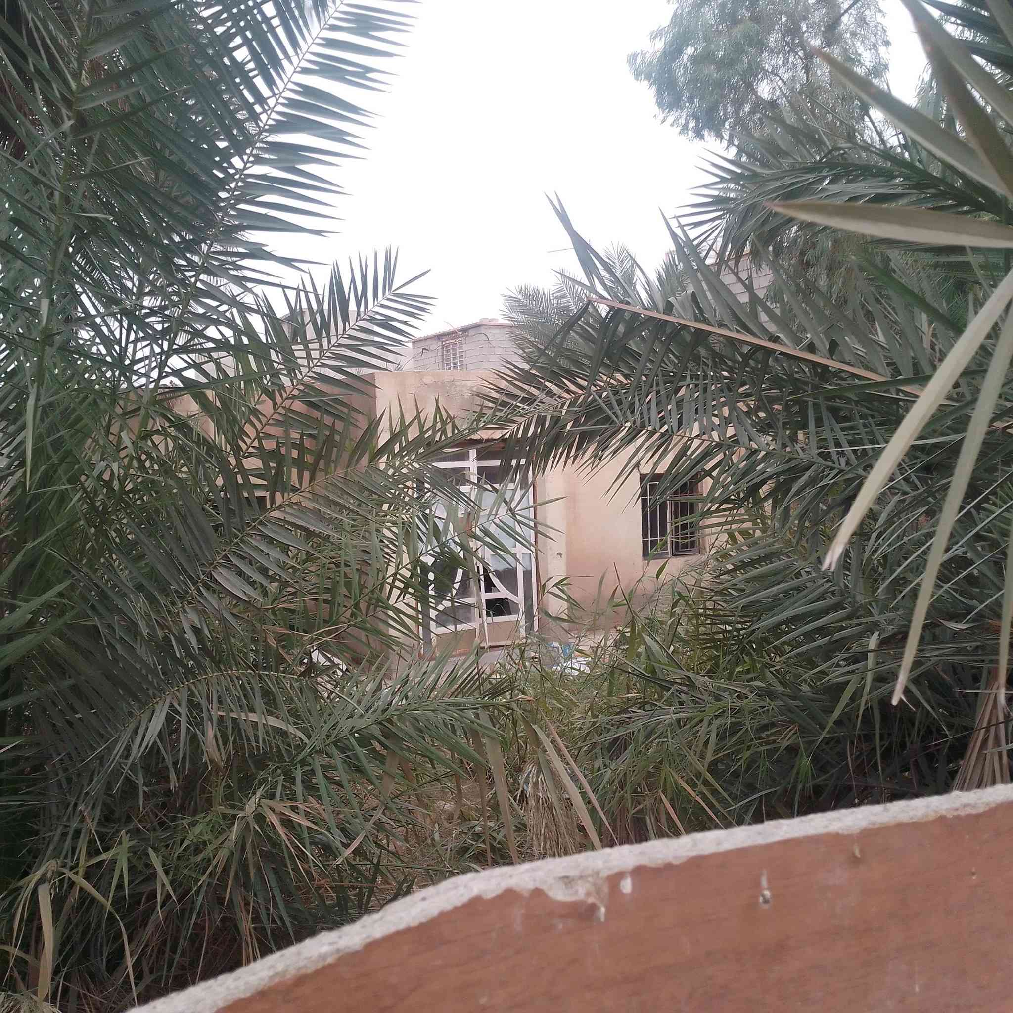 قطعه ارظ معه هيكل للبيع المساحه 480متر موقع الارظ سلمان باك منطقه الحظاريه اي  استفسار على هاذه الرقم *********** واتساب والمازنجر مفتوح
