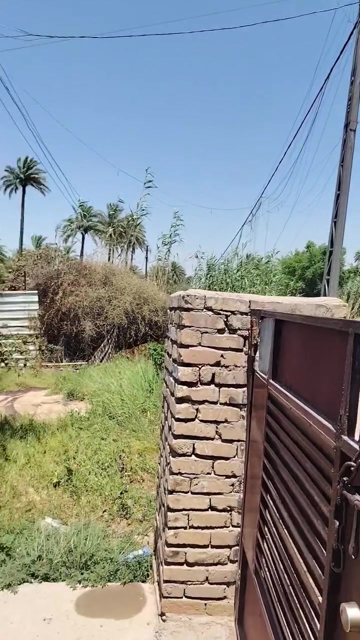 بيت للايجار ع الشارع العام بعد المدارس
يحتوي ٢ غرف نوم واستقبال ومطبخ وخدمات وحديقة وكراج خدمات كاملة
للاستفسار الاتصال على الرقم ***********
