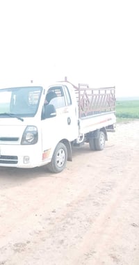 محجل كيا • قمريه فصال جديد