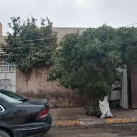 بيت للبيع • الحي العسكري • ٢٤٠م