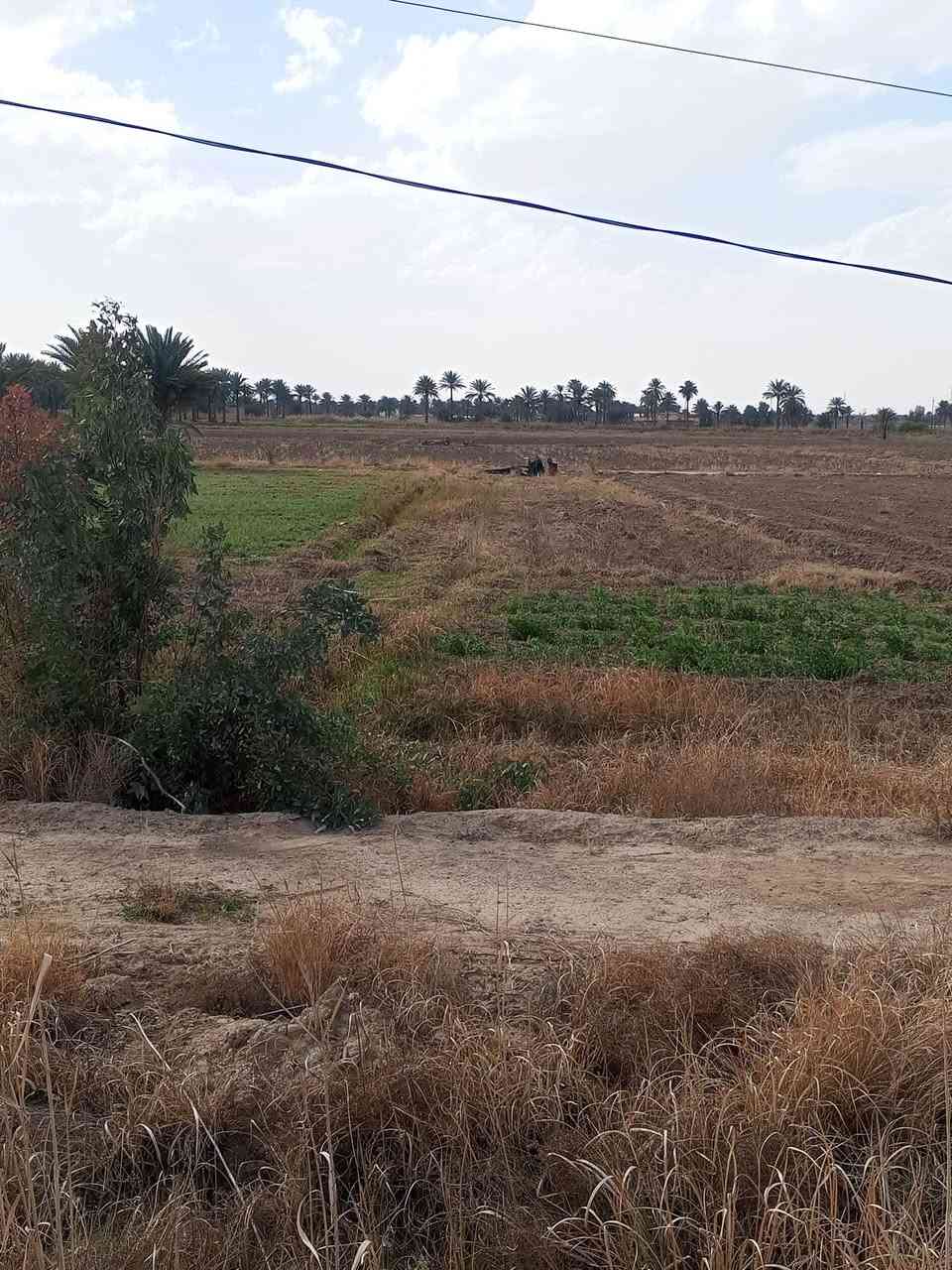 سلام عليكم ورحمه من رخصت الادمن المحترم يوجد نص دونم عقد زراعي ع شارع العام خلف جوه العدنان الاتصال *********** واتساب
