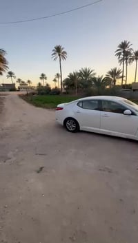 ناحية النيل • ١٣٠٠م² • ٤ غرف