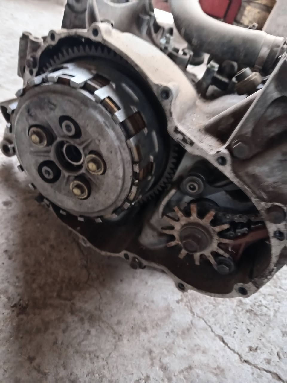 تفصيخ افوراي  شتريد موجود


**إذا كنت صاحب هذا الإعلان وتريد حذفه لأي سبب، رجاءا أرسل رسالة إلى الدعم الفني**