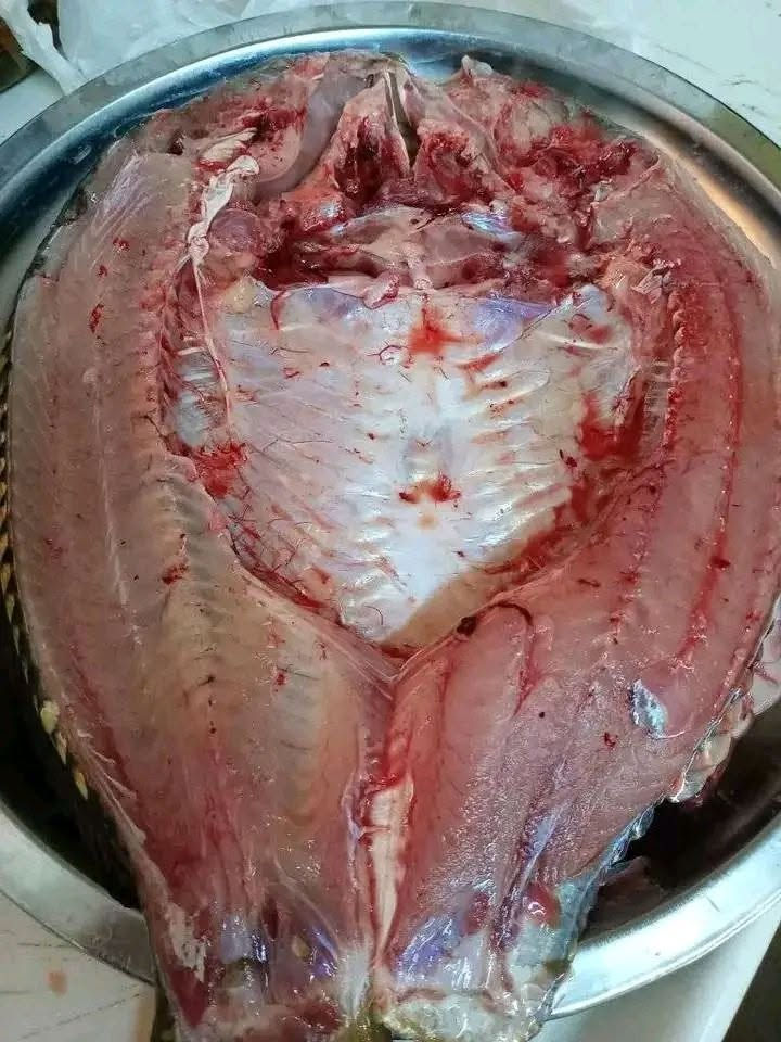 وين محبين السمج كيلو 5750 وتصلكم تلبط

الحجز خاص


**إذا كنت صاحب هذا الإعلان وتريد حذفه لأي سبب، رجاءا أرسل رسالة إلى الدعم الفني**