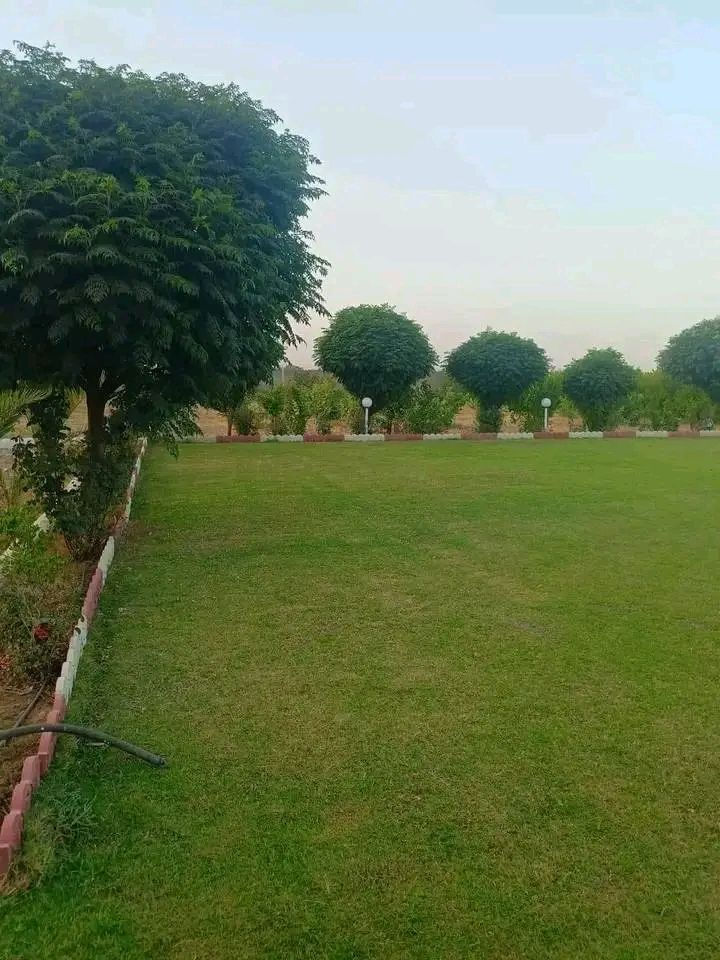 مزرعه للبيع مساحه ٣٣٠٠م زراعي في كركوك طريق اربيل قريه حصار مسافه من شارع بيها بيت ومسبح والاشجار مثمره متنوعه وحديقة حلوه وبئر ماء وكهرباء سعره ٧٠ مليون للمزيد من المعلومات اتصال على رقم مبايل ***********
