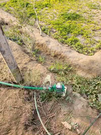 دوانم زراعية • بنزلة البو حي الله • ١٨٠٠م/١٠٠٠م