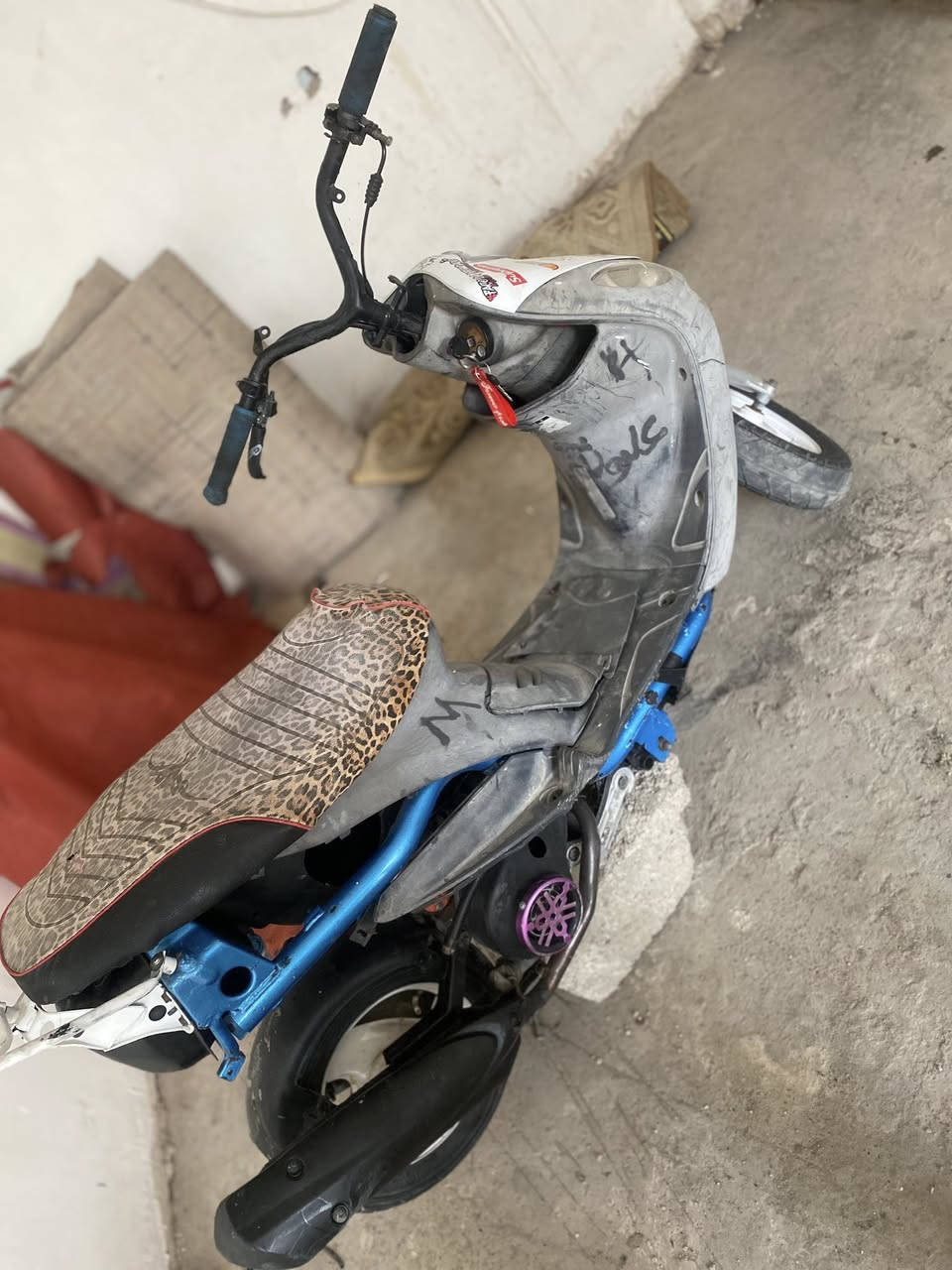 السلام عليكم بيع مستعجل بدون كسر رجائاً ماكس لعب للبيع مكينه 55 بعدها بالجيس شرط معدلها طيران صالنصه اف ام بيها تزويد شيال رياضي وقبق جوزه بلاد سعرها 300 وبيها مجال كلش قليل وجماعه ال200 لتوصلني مبايعلك عصفوريه مكاني بغداد المعامل حي النصر 
خادم للشباب الطيبه


**إذا كنت صاحب هذا الإعلان وتريد حذفه لأي سبب، رجاءا أرسل رسالة إلى الدعم الفني**