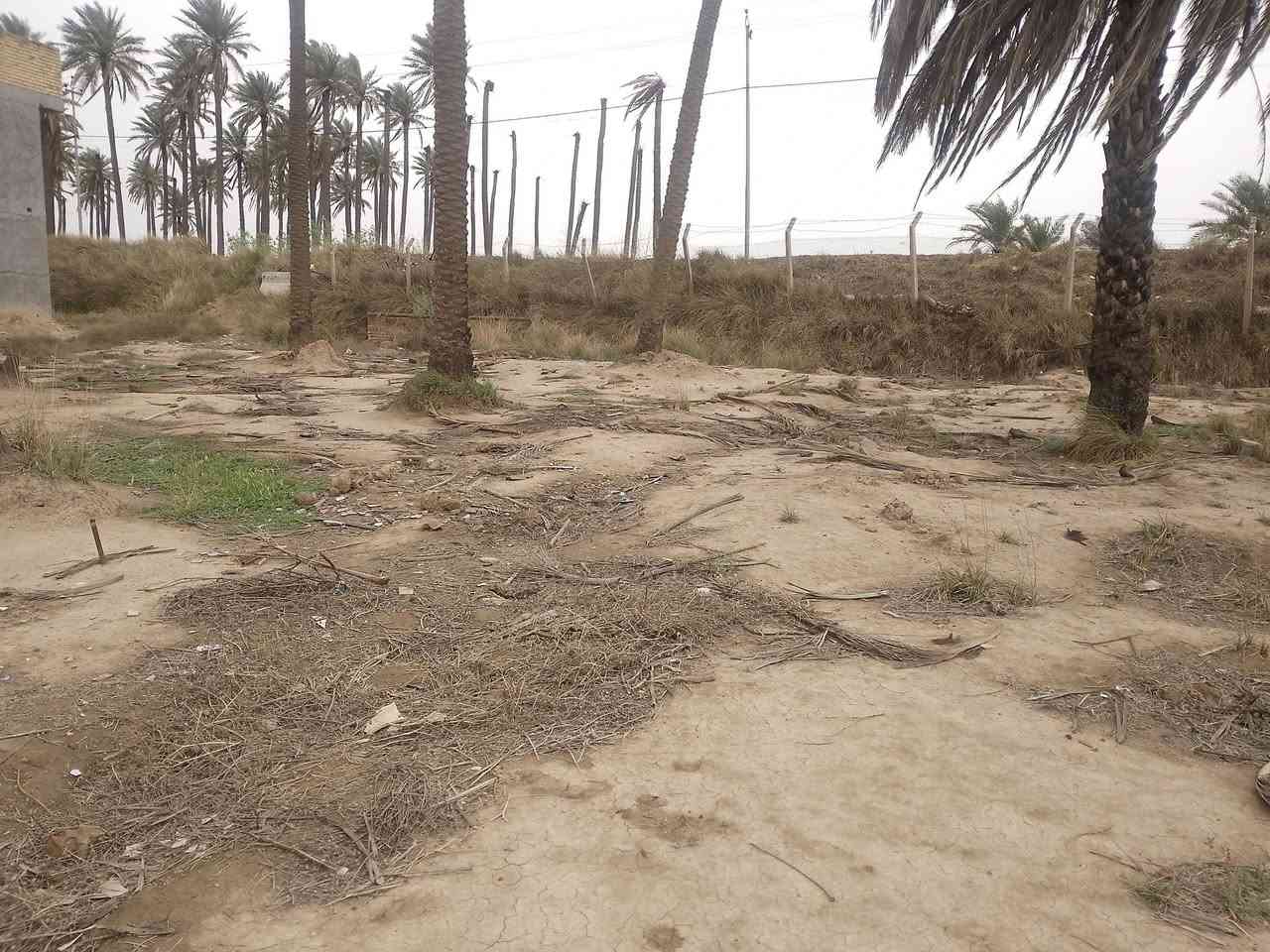 رجااً مو شراي لاتعامل سلام عليكم قطعه ارض ٥٥٠ متر ملك طابو زراعي سند ٢٥ ماء كهرباء موجود  
مكان القطعه يم الجسر الفرنسي مال حي البتول بشارع حديقه الحيوانات  وي الشارع مباشر  سعر 60 مليون 

تواصل ***********
