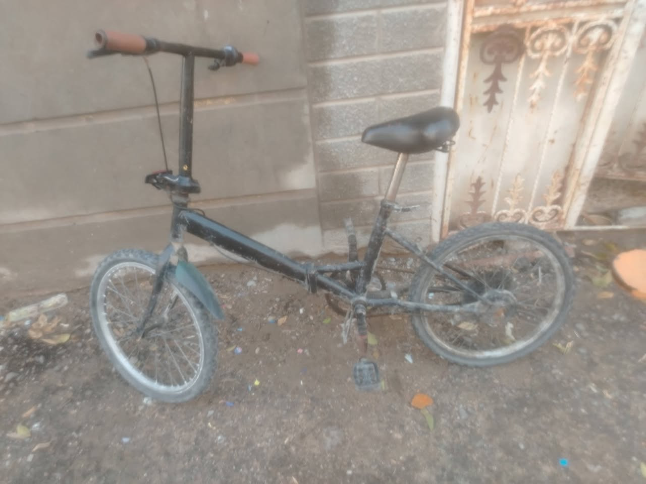 بايسكل ابو الطبكه بسعر مناسب


**إذا كنت صاحب هذا الإعلان وتريد حذفه لأي سبب، رجاءا أرسل رسالة إلى الدعم الفني**