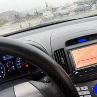 النترا • ٢٠١٠ • رانية