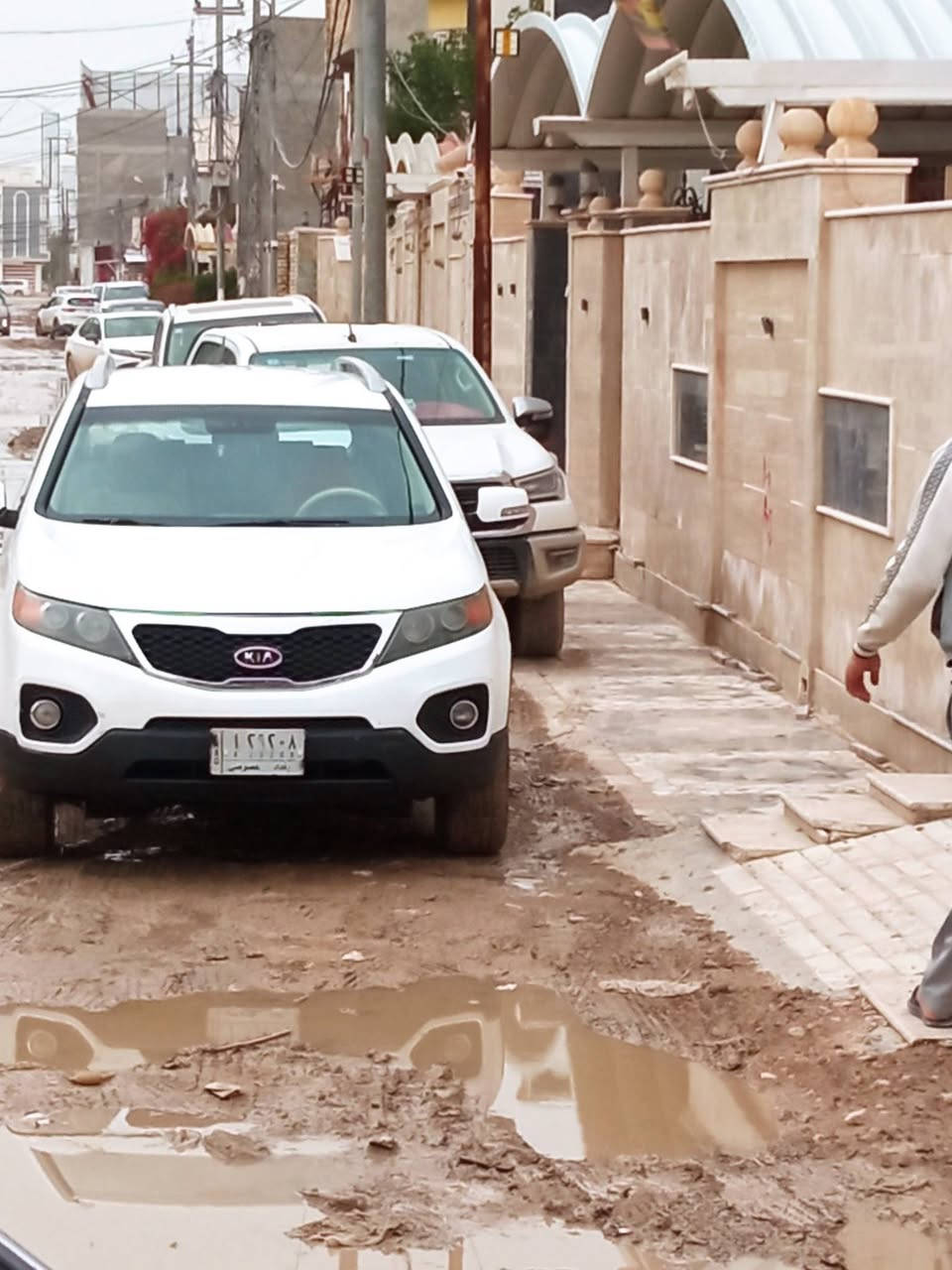 كيا سورناتو
سعر 129وبيها مجال الرقم ***********
خليجي 2013
ماشي150رقم بغداد 
مكيه 2400دوش
7راكاب 
كير محرك حداديه تخم تايرمكفولات 
تبريد تتفاء مكفولات 
بيها صبخ3قطع بدون ضرب
