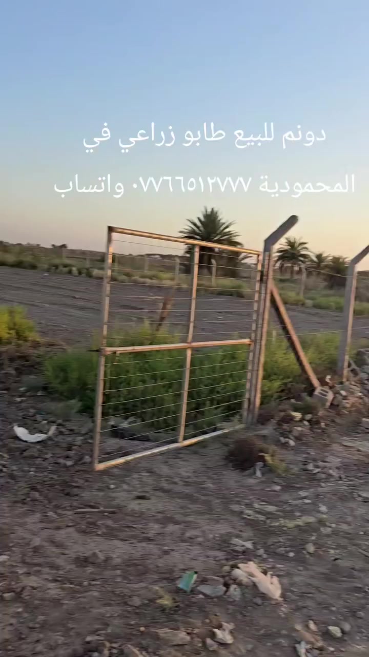 دونم للبيع طابو زراعي
في المحمودية 
السعر ١٠٥مليون
*********** واتساب ***********
