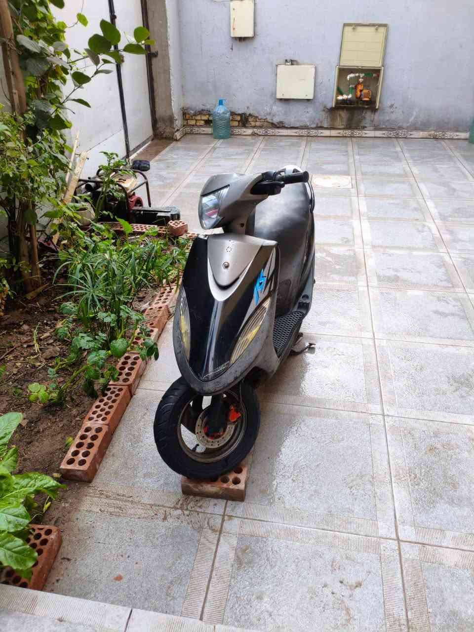 ماكس عدله ياباني 120
دراجه (كفاله عامه من كلشي) 
كفرات بلادي ختم واحد 
 فوول ملاح علا وضع الرمبه 
كامله من كلشي  كهربائيات  هندر اشاير سكنات عدادات ما بيه اي نقص عينه لونين 
شراي يتصل 
واتساب 
***********
المكان
    بصرة----تنومة
