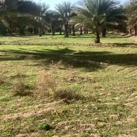 البيع دونم الوجهة 47 متر سند 25 قرب حولي جديد مال بغداد قريب على مجمع ...