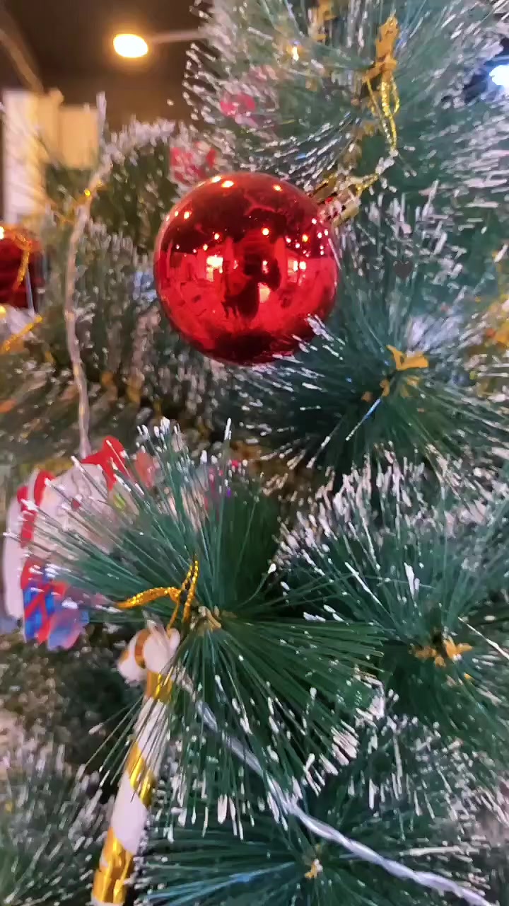 عش العصفور جديد 
تصاميم حديثة + ألوان حلوة 🎨🐦
وبسعار جدا مناسبه وبلتقسيط المريح بدون مقدمه 
متوفر بمركز دبي للتقسيط
العنوان الإسكندرية مقابل ثانويه الإسكندرية للبنات للحجز والاستفسار الاتصال على الرقم ***********
