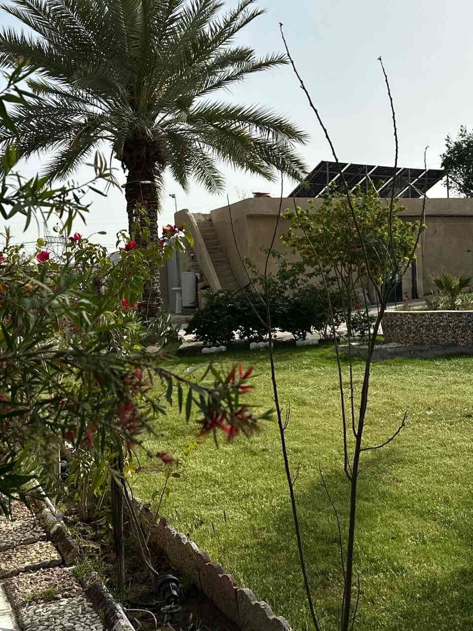 https://www.instagram.com/nekhil.1house?igsh=czh4aXliaWlpY2xl موثقة بتطبيق اجرلي


**إذا كنت صاحب هذا الإعلان وتريد حذفه لأي سبب، رجاءا أرسل رسالة إلى الدعم الفني**