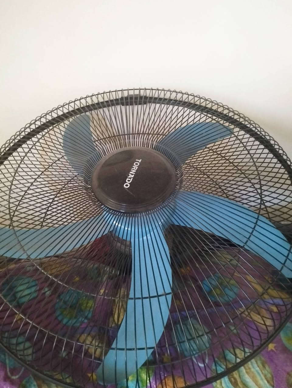 مراح عاطل عدد خمسة حجم كبير كلهن ب25 قفل


**إذا كنت صاحب هذا الإعلان وتريد حذفه لأي سبب، رجاءا أرسل رسالة إلى الدعم الفني**