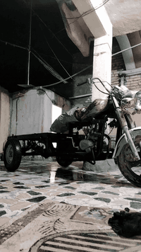 ستوته 7للبيع عووزهه بدي كلك كلك مصبوغ صبغ بلادي  شاصيهه نضيف مكفول محر...