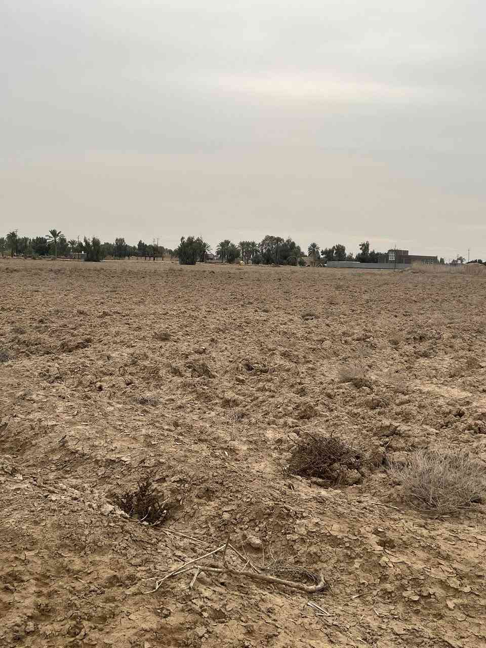 للبيع ….
5دًونم ،عقد 17
تبعد عن طريق مرقد الخضر (ع) 400m.!
خلف مدينة حمورابي."
#تتوفر فيها خدمات "
(الارض تابعه إلى طابو المسيب )وليست ملك أحد"
ملاحضة :يوجد فيها معاملة تمليك"
للستفسار على الأرقام التالية:
*********** _***********
